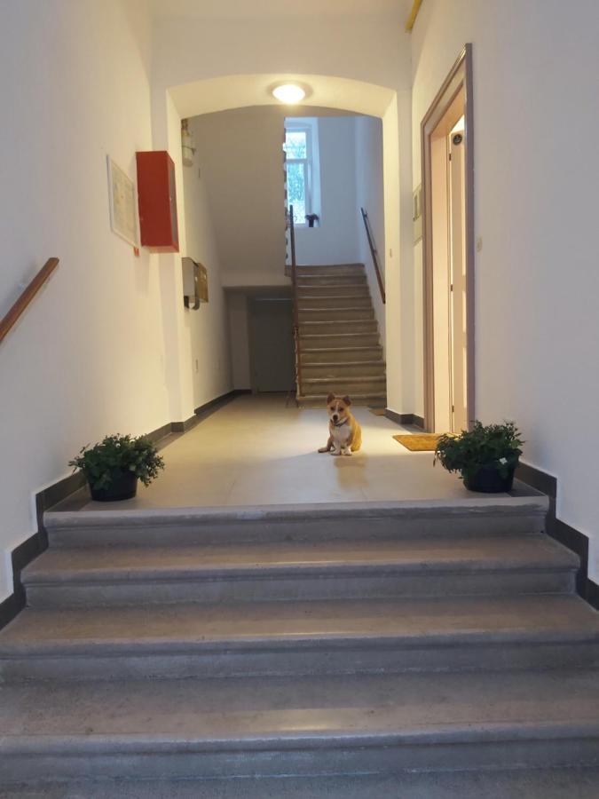 Apartman Draguc Пула Екстер'єр фото
